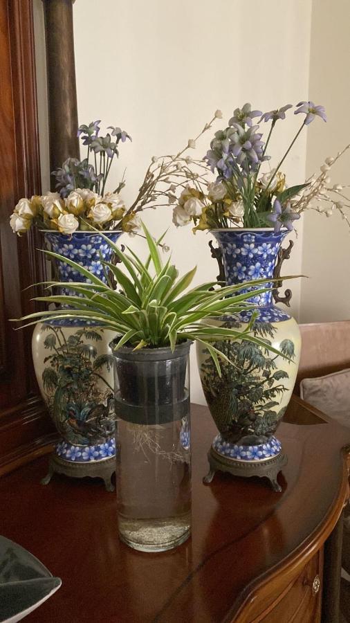 Luxurious 3 Bedroom Rustic Apartment Overlooking Huge Garden - For Families And Couples Kairo Bagian luar foto
