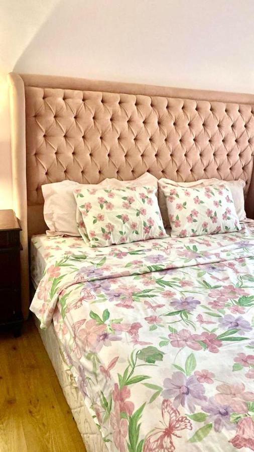 Luxurious 3 Bedroom Rustic Apartment Overlooking Huge Garden - For Families And Couples Kairo Bagian luar foto